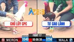 Trận 17 CPC3 25/5/2025 - Bướm Anh Hiển Có Chân Phản Đá Điều Tai Biến