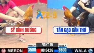 Trận 19 CPC3 31/5/2025 - Khét Chân Vàng Anh Tấn Gạo Nhấc Chân Là Lụm