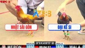 Trận 2 CPC1 26/5/2025 - Anh Đại Kê Si Hạ Anh Nhật Sài Gòn Nhanh Gọn