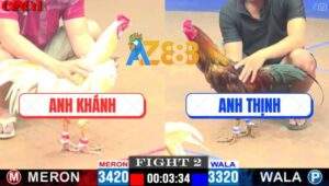 Trận 2 CPC1 6/5/2025 - Gà Vàng Anh Thịnh 3 Đá Bướm Té Xe Nhanh Gọn