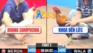 Trận 2 CPC3 25/5/2025 - Điều Siêu Mỹ Anh Khoa Đá Bướm Thái Mỹ Tai Biến