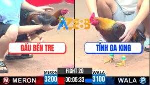 Trận 20 CPC3 25/5/2025 - Gà Điều Anh Gấu Bến Tre Nuốt Ói Phản 5 Lai