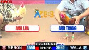 Trận 21 CPC1 1/5/2025 - Gà Anh Trọng Gãy Cánh Vẫn Gồng Cứu Chủ Quá Hay