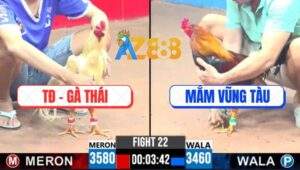 Trận 22 CPC3 25/5/2025 - TĐ Gà Thái Và Anh Mắm Bất Phân Thắng Bại