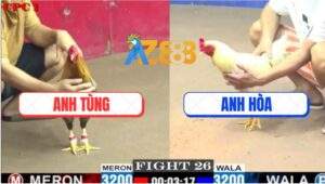 Trận 26 CPC1 27/5/2025 - Bướm Anh Hòa Nuốt Ói Tiễn Gà Cú Lên Đường