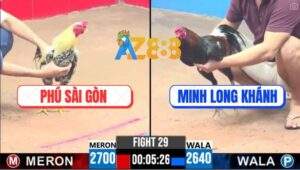 Trận 29 CPC3 2/5/2025 - Chuối Hiệu Anh Phú Sài Gòn Đâm Cựa Quá Nghiệt