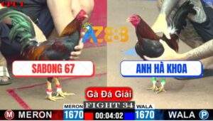 Trận 34 CPC1 26/5/2025 - SaBoong 67 Và Anh Hà Khoa Bến Tre