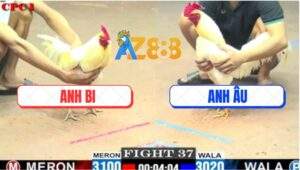 Trận 37 CPC1 27/5/2025 - Úa Anh Bi Chịu Đấm Ăn Xôi Đưa Biện Ra Đảo