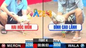 Trận 4 CPC3 30/5/2025 - Bướm Anh Hai Hóc Môn Đâm Ngay Ông Địa Khỏi Sửa