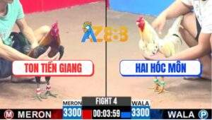 Trận 4 CPC3 31/5/2025 - Anh Ton Tiền Giang Đi 2 Con Chạy Chẵn 1 Cặp