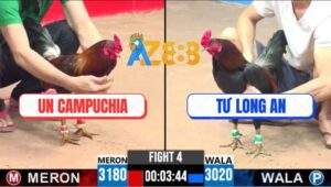 Trận 4 CPC3 7/5/2025 - Gà Que Anh Tư Nhỏ Mà Có Võ, Lụm Xổ 300 Ngọt Sớt