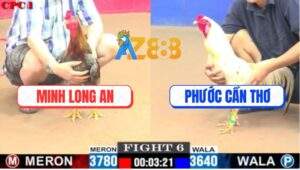 Trận 6 CPC1 29/5/2025 - Gà Xám Má Minh Nhấc Chân Là Có Cựa