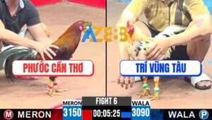 Trận 6 CPC3 13/5/2025 - Anh Phước Cần Thơ Và Anh Trí Vũng Tàu