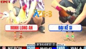 Trận 7 CPC1 26/5/2025 - Bướm Má Minh Đâm Điều Anh Đại Đứng Không Vững