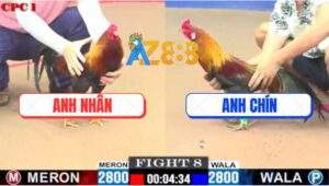 Trận 8 CPC1 29/5/2025 - Gà Anh Nhân Chuyển Bại Thành Thắng Quá May Mắn