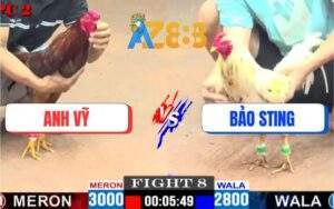 Trận 8 CPC2 16/5/2025 – Bướm Mẻ Hiệu Của Bảo Sting Đá Kèo Dưới Quá Hay