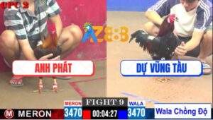 Trận 9 CPC2 9/5/2025 - Gà Điều Anh Dự Vũng Tàu Chồng độ Đâm Như Máy