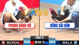 Trận 9 CPC3 8/5/2025 - Khét Bông Anh Phong Bẻ Giò Điều Chân Trắng