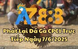 Phát Lại Đá Gà CPC1 Trực Tiếp Ngày 07/06/2025