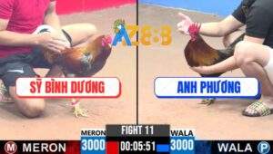 Trận 11 CPC3 11/5/2025 - Que Mặt Lọ Anh Phương Đá Cựa Như Máy Điện