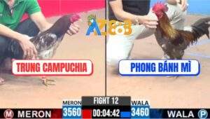 Trận 12 CPC3 11/5/2025 - Anh Phong Bánh Mì Hạ Đẹp Cánh Gà Campuchia