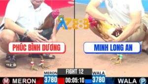 Trận 12 CPC3 6/6/2025 - Camelo Má Minh Hạ Điều Cọp Chú Phúc Bình Dương