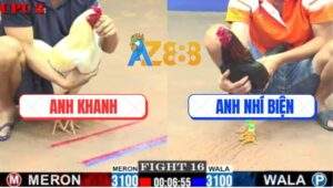 Trận 16 CPC2 4/6/2025 - Gà Điều Anh Nhí Biện Quá Mai Độ