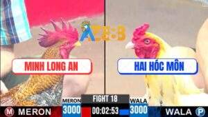 Trận 18 CPC3 9/6/2025 - Gà Cú Má Minh Bắt Bướm Sau 2 Chân Hiểm