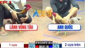 Trận 21 CPC2 4/6/2025 - Cú Anh Quốc Đâm Điều Anh Lành Say Sẩm Mặt Mày