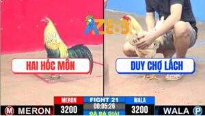 Trận 21 CPC3 11/5/2025 - Anh Hai Hóc Môn Và Anh Duy Chợ Lách