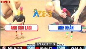 Trận 3 CPC2 9/6/2025 - Gà Chuối Anh Bảo Đá Toàn Đâm Đầu Cần
