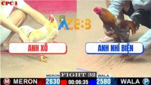 Trận 32 CPC1 3/6/2025 - Anh Nhí Biện Và Anh Xô Cần Tài Cần Sức