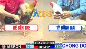 Trận 33 CPC1 3/6/2025 - Xám Cọp Anh Bé Đá Chân 1 Gà Úa Hết Nhảy