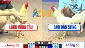 Trận 39 CPC2 6/6/2025 - Bướm Hiệu Anh Bảo Sting Thi Lên 2 Thành Công