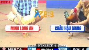 Trận 4 CPC1 10/6/2025 - Bướm Má Minh Đá Điều Anh Châu Co Giò Chạy