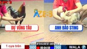 Trận 40 CPC2 6/6/2025 - Bảo Sting Hết Tiền Cho Đủ, Kém 9 Chấm Vẫn Hòa