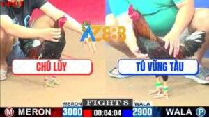 Trận 8 CPC1 7/6/2025 - Điều Chân Xanh Idol Tính Ga King Đâm Như Máy