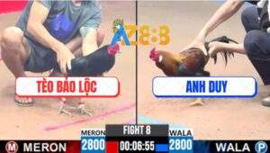 Trận 8 CPC3 11/5/2025 - Ô Mặt Lắc Anh Tèo Bảo Lộc Đâm Không Kịp Tha Lơ