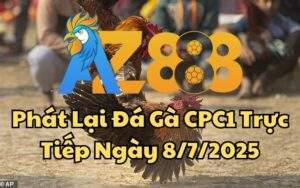 Phát Lại Đá Gà CPC1 Trực Tiếp Ngày 08/07/2025