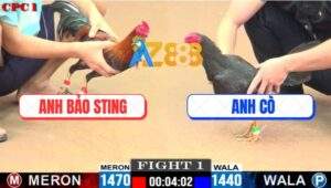 Trận 1 CPC1 7/7/2025 - Anh Cò Mở Bát Hạ Đẹp Anh Bảo Sting