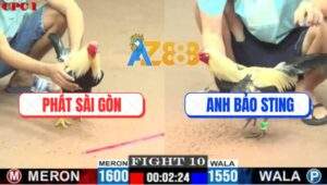 Trận 10 CPC1 7/7/2025 - Chuối Cọp Anh Bảo Sting Đá Đối Thủ Chạy Bay Bồ