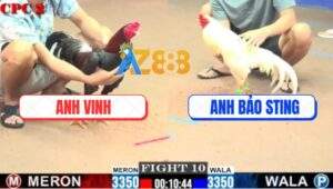 Trận 10 CPC2 20/7/2025 - Bướm Hiệu Bảo Sting Đá Bát 1 Đối Thủ Rụng Nụ