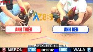 Trận 11 CPC1 24/7/2025 - Mẻ Hiệu Anh Tính Đâm Đối Thủ Gãy Giò Đập Cánh