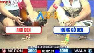 Trận 12 CPC1 17/7/2025 - Điều Vàng Anh Đen Đá Chân Nào Có Tiền Chân Đó