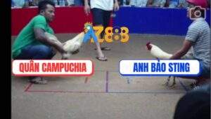 Trận 13 Bồ Ton Hon 6/7/2025 - Anh Bảo Sting Và Anh Kiệt Campuchia