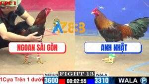 Trận 13 CPC1 19/7/2025 - Gà Anh Nhật Nhỏ Ký Mà Dí Bạc Bị Đá Xì Cơm