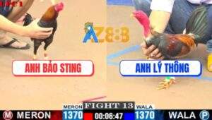 Trận 13 CPC1 7/7/2025 - Anh Bảo Sting Sửa Gà Cứu Thua Đẳng Cấp