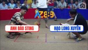 Trận 15 Bồ Ton Hon 6/7/2025 - Điều Cọp Anh Bảo Sting Đá 1 Cược Có Kem