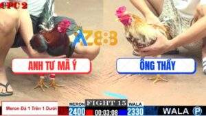 Trận 15 CPC2 23/7/2025 - Điều Anh Tư Khai Tử Camelo Trong 1 Nốt Nhạc