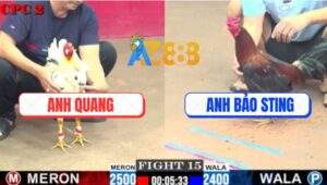 Trận 15 CPC2 2/7/2025 - Anh Bảo Sting Quá Đen Đưa AE Đi Xa Không Phanh